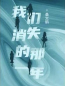 我们消失的那一年 我们消失的那一年