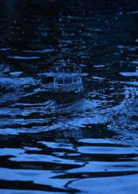 春风雨(纯百) 春风雨(纯百)