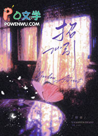 冰川蝴蝶 冰川蝴蝶