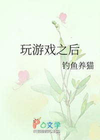 玩游戏之后 玩游戏之后