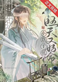 穿越汉花式养瞎夫郎 穿越汉花式养瞎夫郎