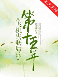 飞机失联后的第十五年 飞机失联后的第十五年