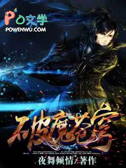 极品高手 极品高手