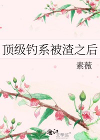 顶级钓系被渣之后 顶级钓系被渣之后