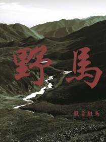 野马 野马