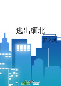 逃出缅北 逃出缅北