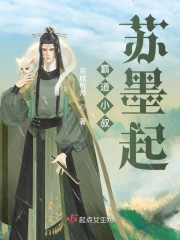 霸道小叔苏墨起 霸道小叔苏墨起