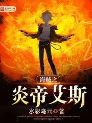 海贼之炎帝艾斯 海贼之炎帝艾斯