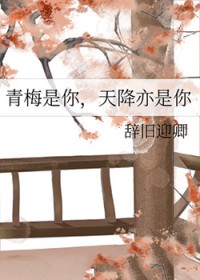 青梅是你,天降亦是你 青梅是你,天降亦是你