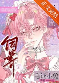 毛绒小兔饲养指南 毛绒小兔饲养指南