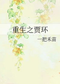 重生贾环 重生贾环