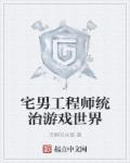 宅男工程师统治游戏世界 宅男工程师统治游戏世界