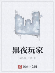 黑夜玩家 黑夜玩家