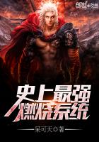 史上最强燃烧系统 史上最强燃烧系统