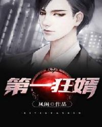 第一狂婿 第一狂婿