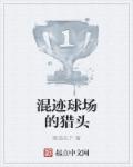 混迹球场的猎头 混迹球场的猎头
