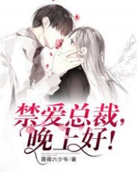 禁爱总裁晚上好 禁爱总裁晚上好