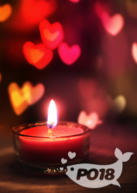 落叶归根  (ABO) 落叶归根  (ABO)