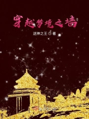 梦境之墙 梦境之墙