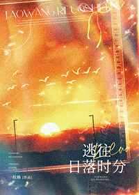 逃往日落时分 逃往日落时分