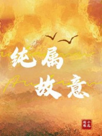 纯属故意 纯属故意