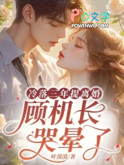 冷落三年提离婚,顾机长哭晕了 冷落三年提离婚,顾机长哭晕了