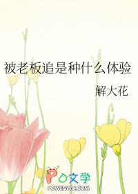 被老板追是种什么体验 被老板追是种什么体验