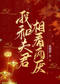 我和夫君相看两厌 我和夫君相看两厌