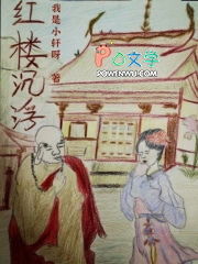 红楼沉浮 红楼沉浮