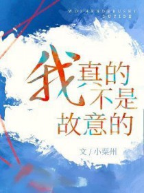 我真的不是故意的 我真的不是故意的