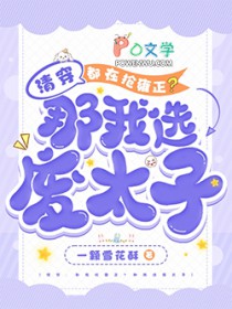 清穿:都在抢雍正?那我选废太子 清穿:都在抢雍正?那我选废太子