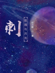 刺:玫瑰与月光 刺:玫瑰与月光