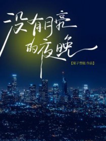 没有月亮的夜晚 没有月亮的夜晚