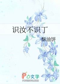 识汝不识丁 识汝不识丁