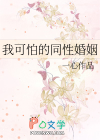 我可怕的同性婚姻 我可怕的同性婚姻