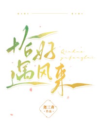 恰好遇风来 恰好遇风来