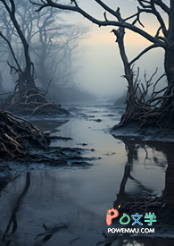 遗落之明 遗落之明