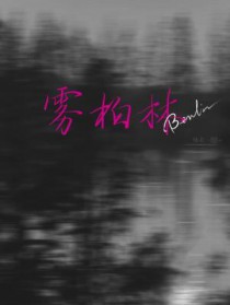 雾柏林 雾柏林