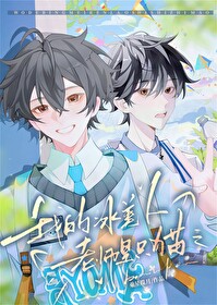 我的冰美人老师是只三花猫 我的冰美人老师是只三花猫