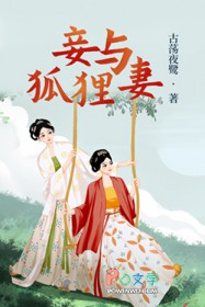 妾与狐狸妻 妾与狐狸妻