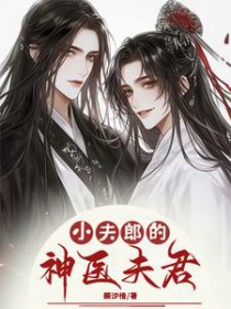 小夫郎家的神医夫君 小夫郎家的神医夫君