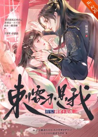 将军!刺客不是我 将军!刺客不是我