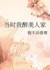 当时我醉美人家 当时我醉美人家