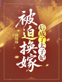 被迫换嫁后成了太子妃 被迫换嫁后成了太子妃