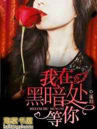 我在黑暗处等你 我在黑暗处等你
