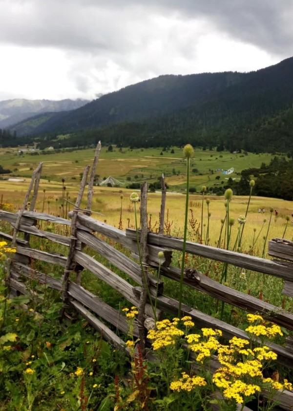 败家先生叕在扔东西了 败家先生叕在扔东西了