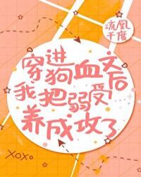 穿进狗血文弱受成攻了 穿进狗血文弱受成攻了