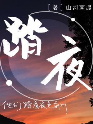 踏夜 踏夜