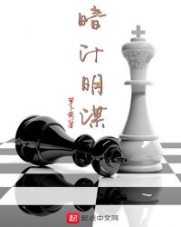 暗计明谋 暗计明谋