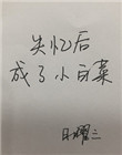 失忆后成了小白菜 失忆后成了小白菜
